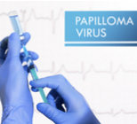 פפילומה: תעשו חיים - אבל תשמרו עליהם-תמונה